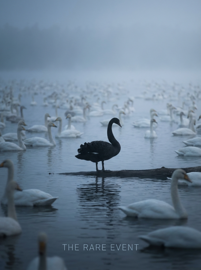 Seltenheit - Schwarzer Schwan